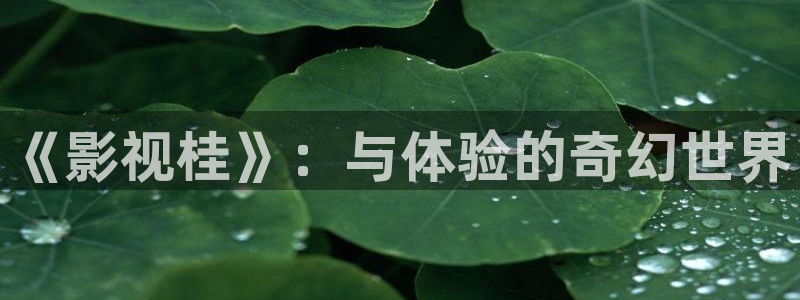新闻图片